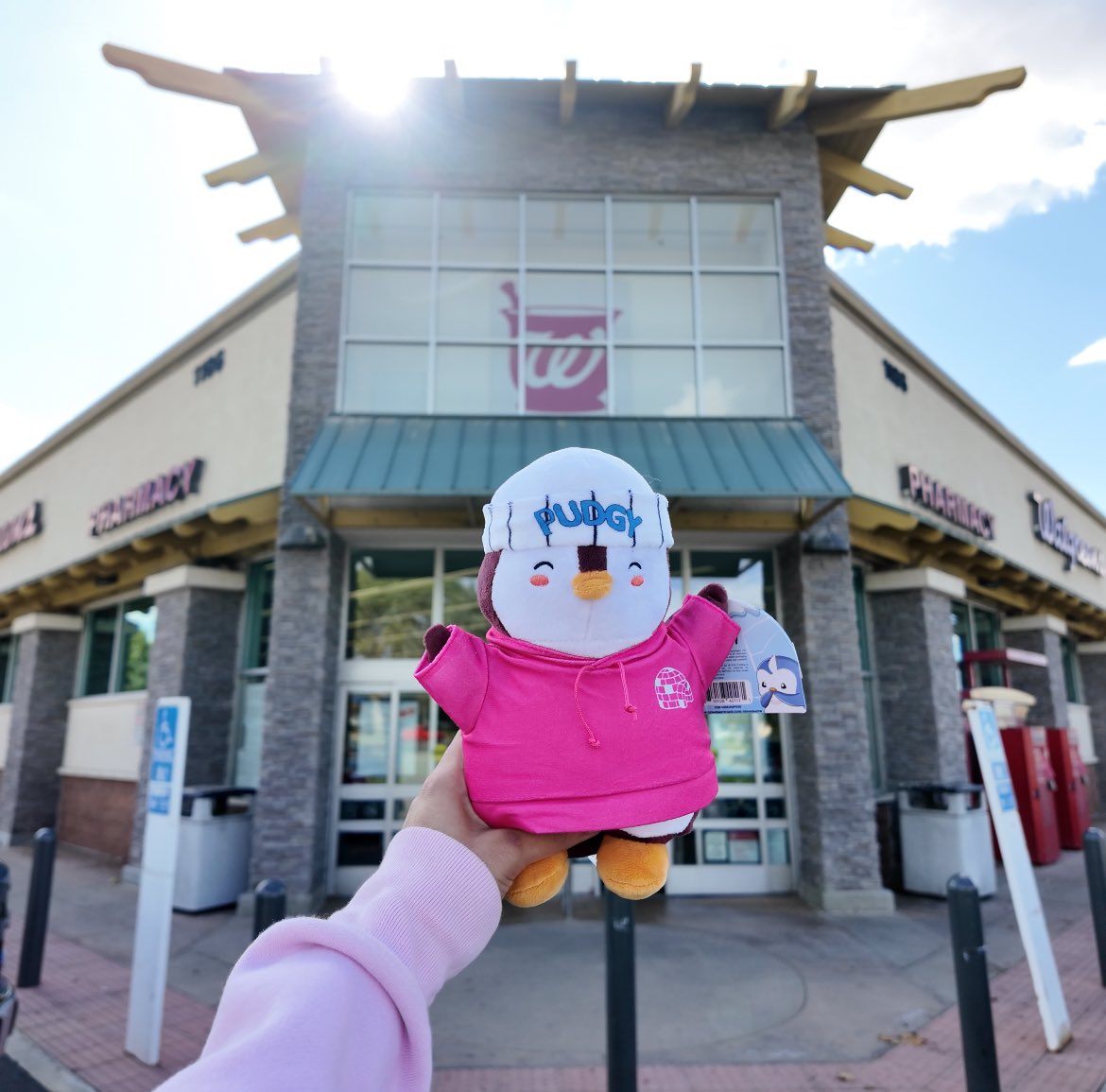 theweb3attorney's tweet image. The @pudgypenguins are taking over @Walgreens! 🐧
This drop is a special one. This particular @LilPudgys is so meaningful because it’s my mom’s Lil Pudgy! I’m so happy for her, and she’s so excited. ❤️🥹👏
Story time and a follow-up post coming soon, but I love seeing the team…