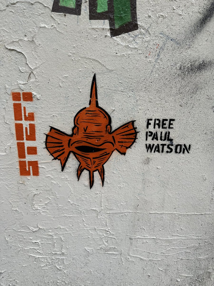rickythemask's tweet photo. @paul_c_watson spotted in Paris should we be concerned Paul? https://t.co/khLDzJ3UmP