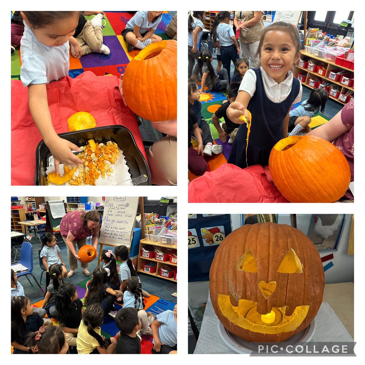 Cheryl O’Donnell tweet media