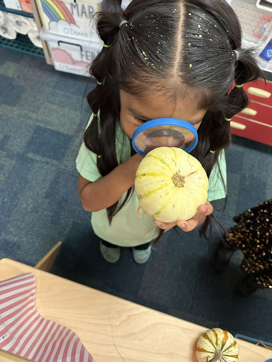 Cheryl O’Donnell tweet media