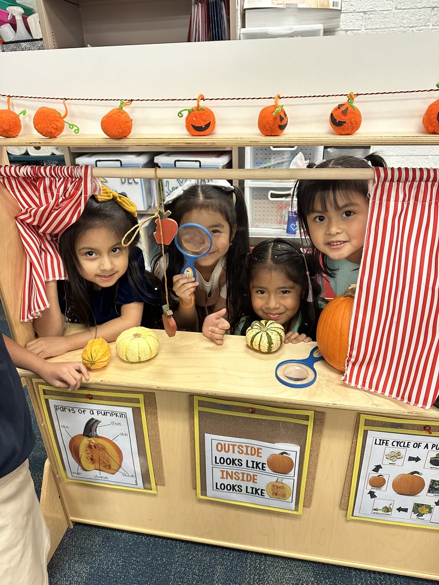 Cheryl O’Donnell tweet media