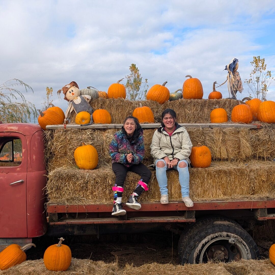 GreyCelt_PDX's tweet photo. Out at the pumpkin patch with the girls to get some pumpkins for carving. Jack-o'-lantern 🎃 https://t.co/PVkb3WHahj https://t.co/VOGRFy8tEo