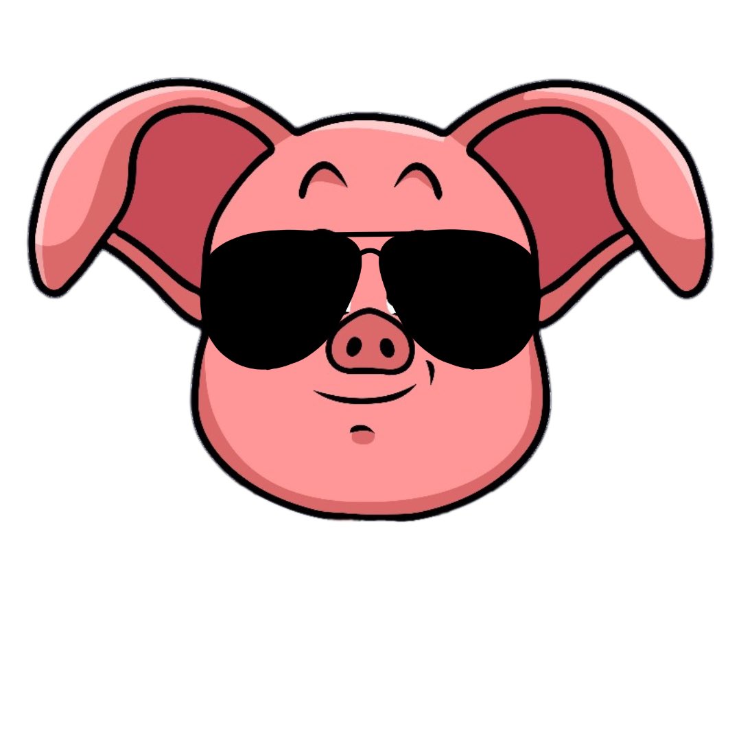 🐷