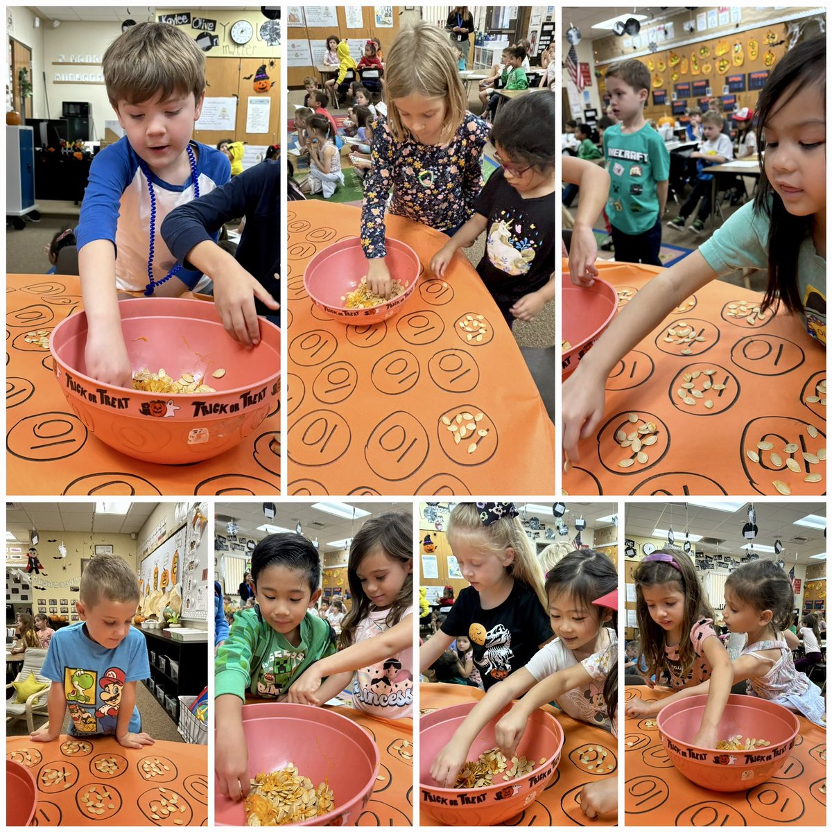 Jessica Pineda (@mrspineda_pusd) on Twitter photo A joint Kinder 🎃 science lesson! Our #SeagullScientists sorted pumpkin seeds and counted how many were in the pumpkin, measured how tall they were, and figured out if they would sink or float. #SeagullSmarts #SeagullsSoarTogether 💙 <a href="/SunsetHillsES/">SunsetHillsElementary</a> A joint Kinder 🎃 science lesson! Our #SeagullScientists sorted pumpkin seeds and counted how many were in the pumpkin, measured how tall they were, and figured out if they would sink or float. #SeagullSmarts #SeagullsSoarTogether 💙 <a href="/SunsetHillsES/">SunsetHillsElementary</a>