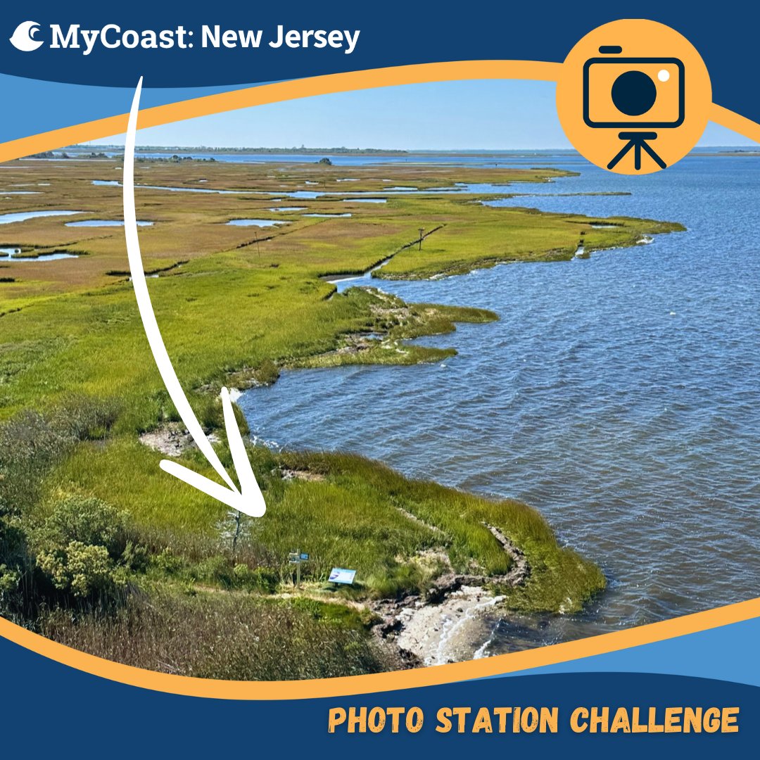 2 days left in the MyCoast Photo Station Challenge! We hope you’ve enjoyed your NJ coast experience while also contributing data to coastal managers &amp; scientists about our changing shorelines.

Once all 6 reports are submitted, visit to claim your prize: mycoast.org/nj/photo-stati…
