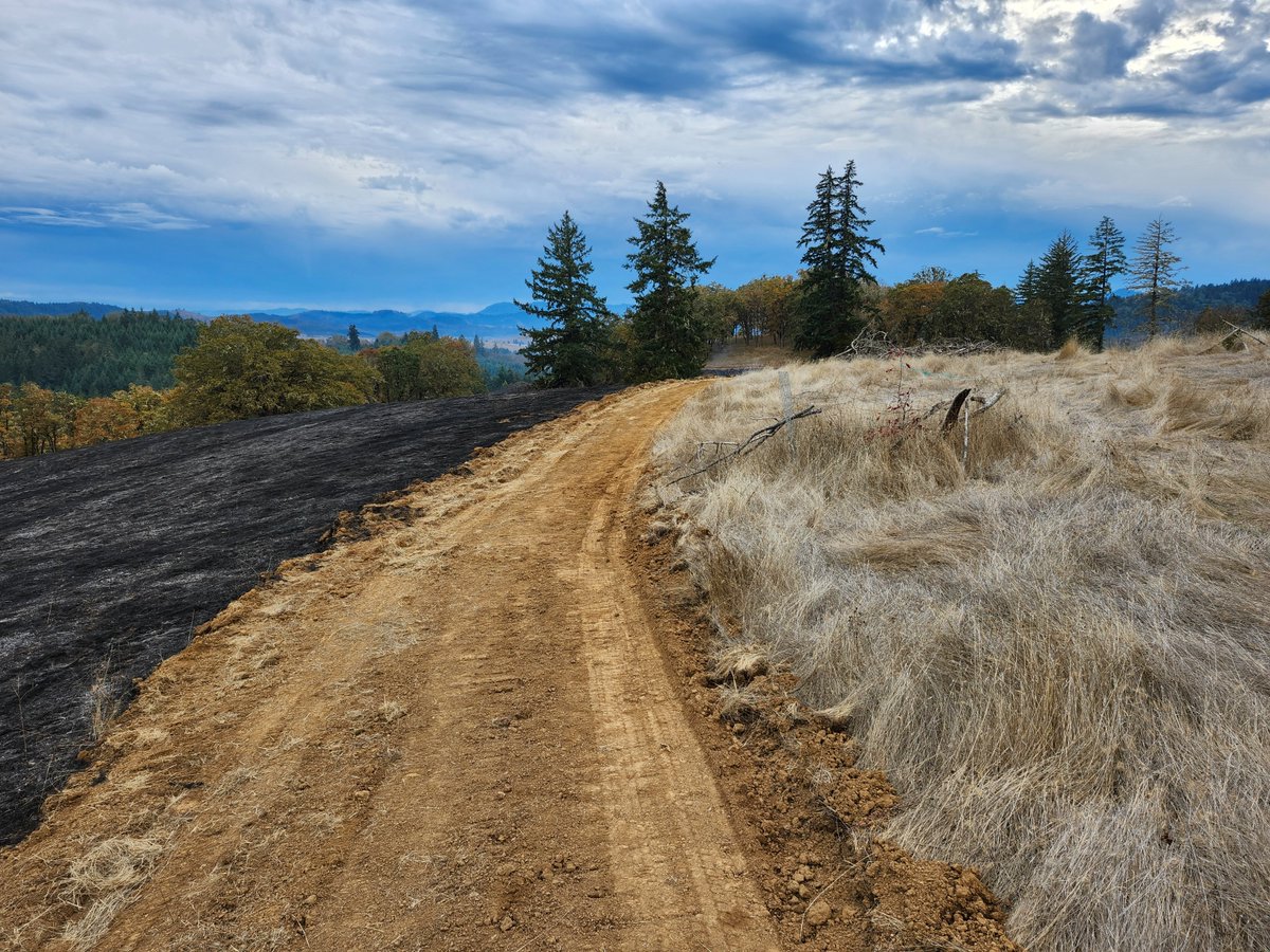 ORDeptForestry's tweet photo. ODF has launched the Prescribed Fire Liability Program. This pilot program is intended to increase use of prescribed fire and cultural burning and support fire practitioners by providing liability coverage for enrolled burns.

Learn more https://t.co/3FQxMwOB1C https://t.co/sgtyIbo6w2