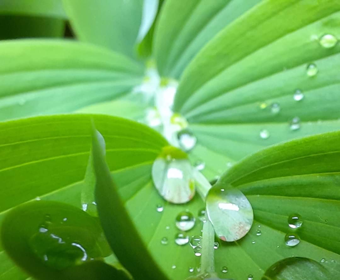 #waterdropphotography