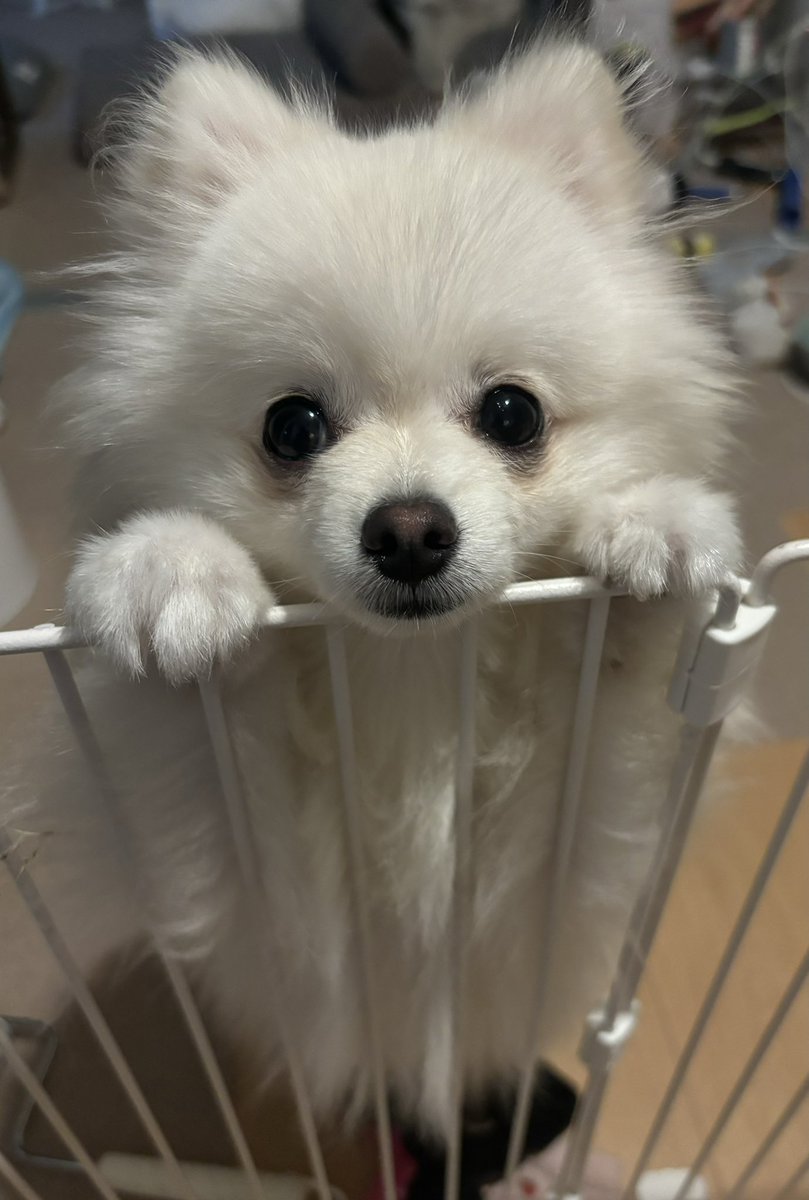uniuni___unini's tweet photo. おはようございます😊
お久しぶりです☀️ https://t.co/UE7nRzCKcJ