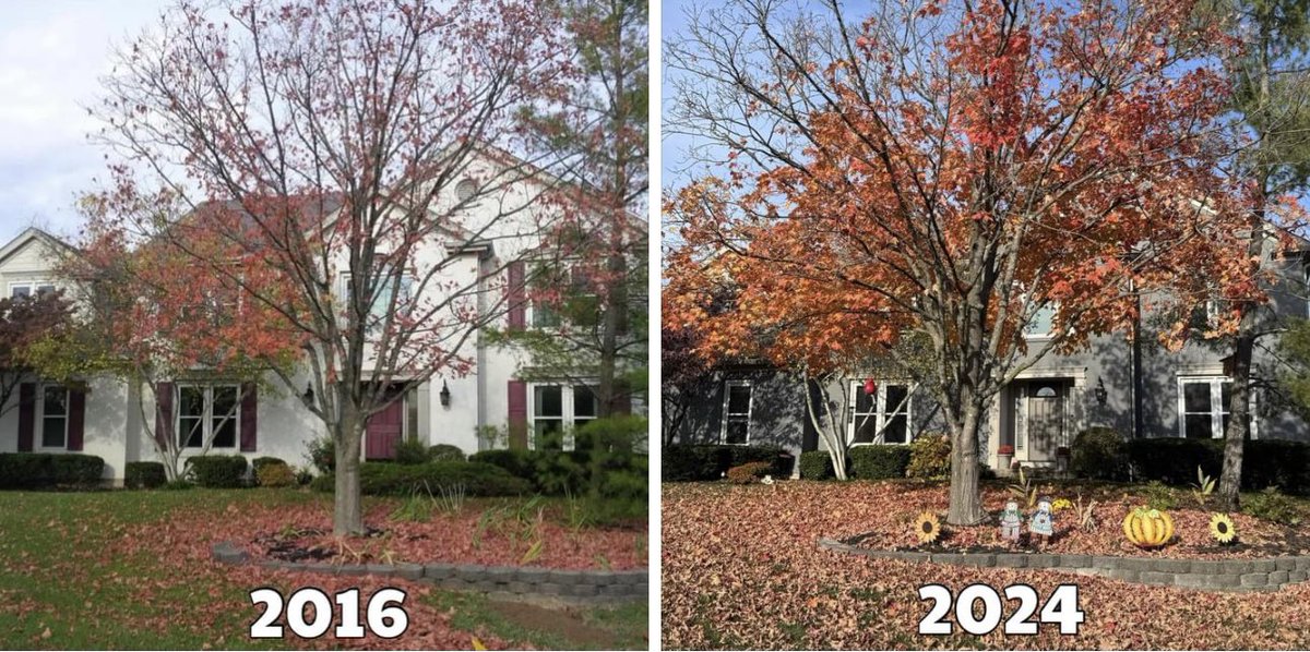 EmmaHurt1976's tweet image. What a difference 8 years makes.  From coming to view the house and making an offer in 2016 til today.  #WestChesterOH