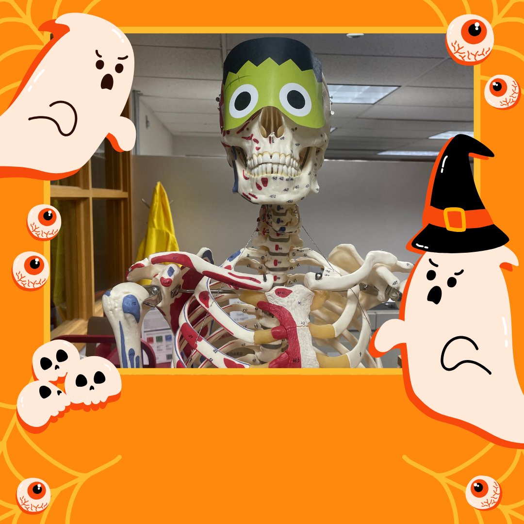 When studying is at 5:00 but Trick or Treating is at 6:00... Come check out Frankie to get some studying out of the way before Halloween tomorrow! Warning: his humor is a little bone-dry!