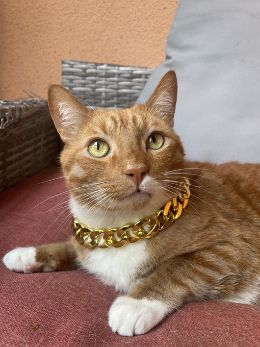 Watch blaid's leaked NSFW photo on TwXstars