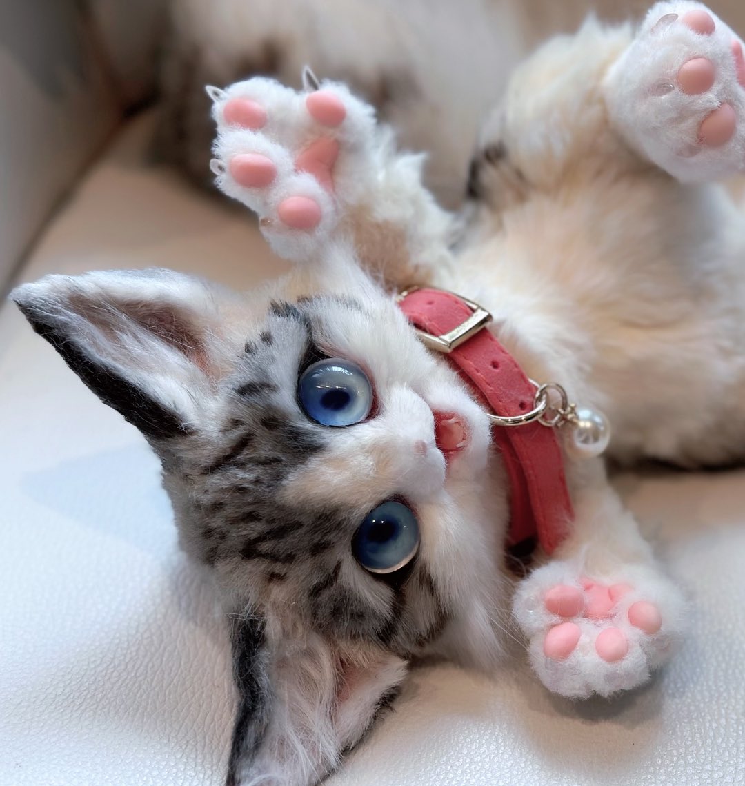 tyairononeko's tweet photo. この子はちょっと前に作ったねこ！
ねこは猫モチーフですがねこであり猫ではなくてねこですよろしくお願いします https://t.co/ON7sEJfXwk
