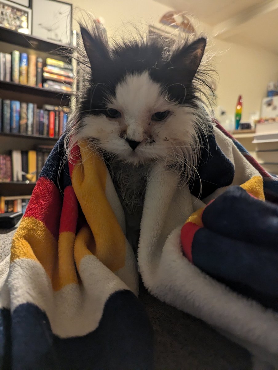 Come .... Speak to the wise Wizard Soyo