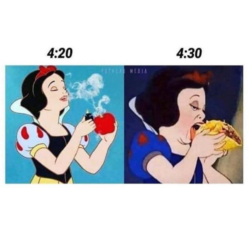 More_StonersRUs's tweet photo. Every time 😂 https://t.co/FE8ZJsc1v6