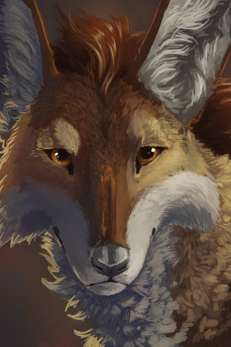 Camphorous (@camphorous) on Twitter photo 