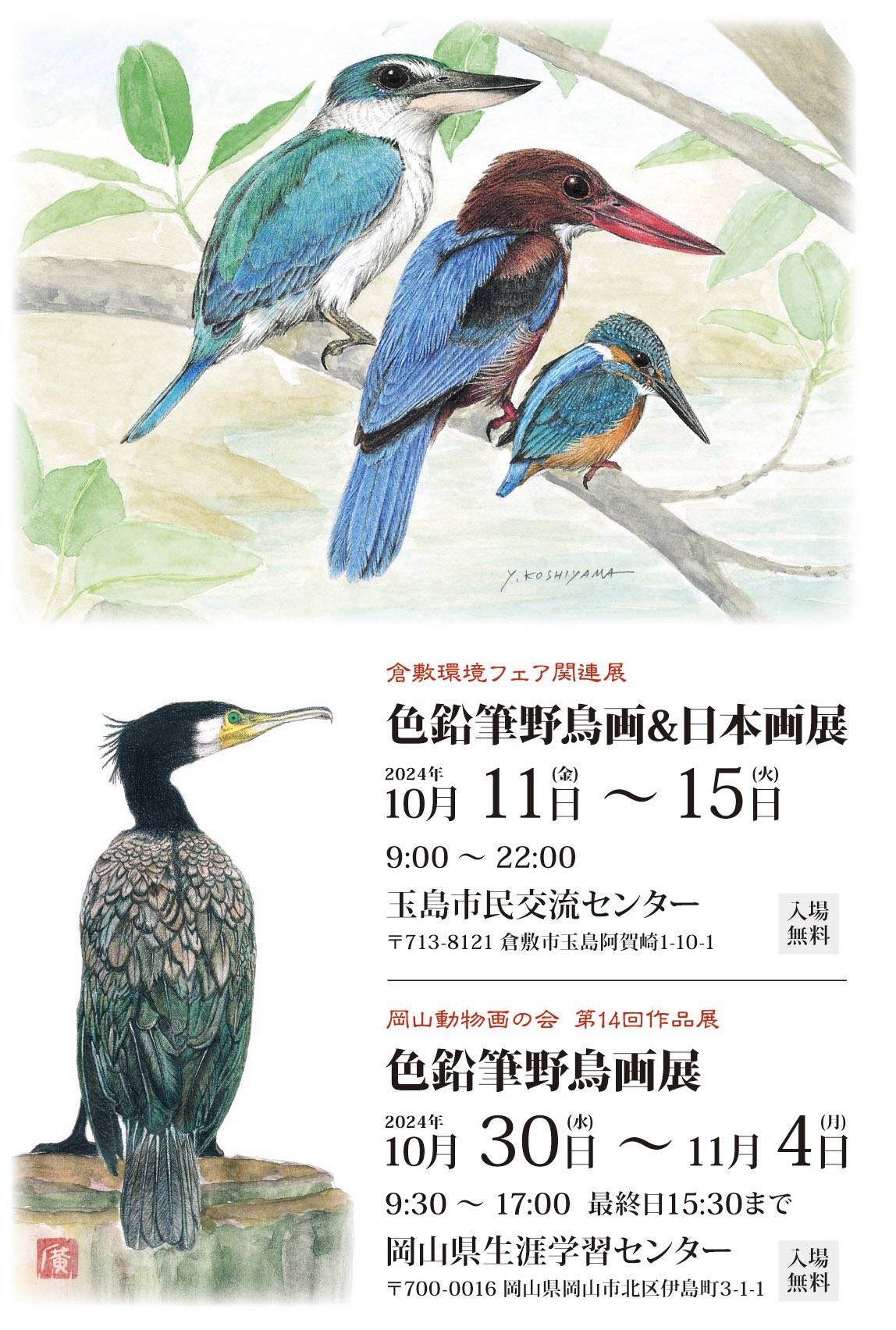 白変種八咫烏の雛　緑 白変種八咫烏の雛 緑