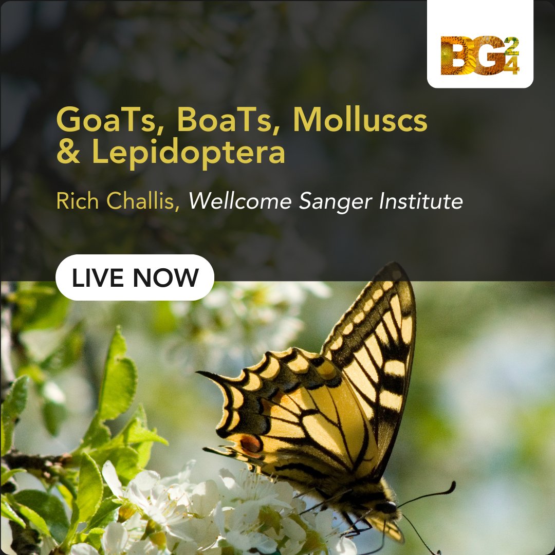 Earth BioGenome Project (@ebpgenome) on Twitter photo Rich Challis from <a href="/sangerinstitute/">Wellcome Sanger Institute</a> is LIVE at #BG24 discussing how Genomes on a Tree can assist in your genome analysis
Register to tune in now🦋
#genomics #genome #genomeanalysis Rich Challis from <a href="/sangerinstitute/">Wellcome Sanger Institute</a> is LIVE at #BG24 discussing how Genomes on a Tree can assist in your genome analysis
Register to tune in now🦋
#genomics #genome #genomeanalysis