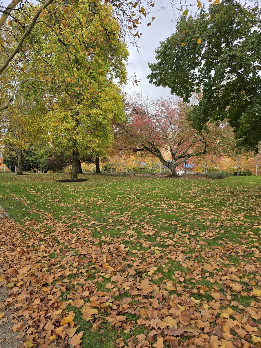 Bellevue en automne.