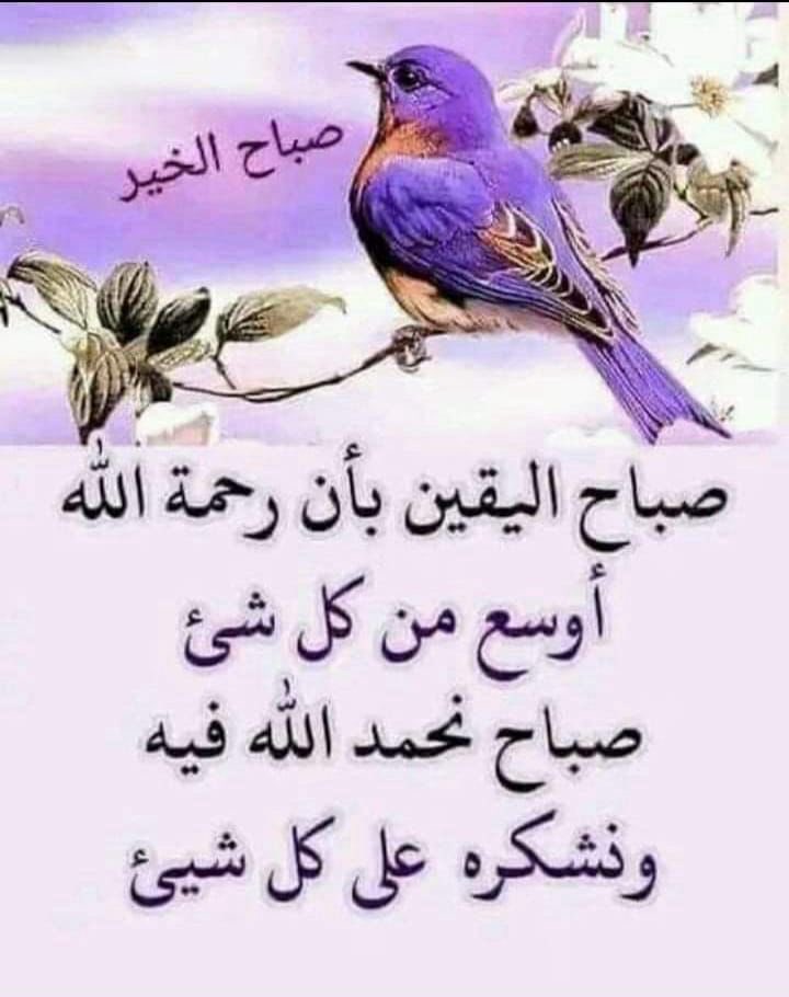 ربي في هذا الصباح☀️
 أكتب لنا أوقاتاً جميلة 
أسعدنا بتفاصيله واغمرنا
 بخيرك الذي لا يفنى 🤍

صباح الخير لعشاق الصباح 🫶🏻