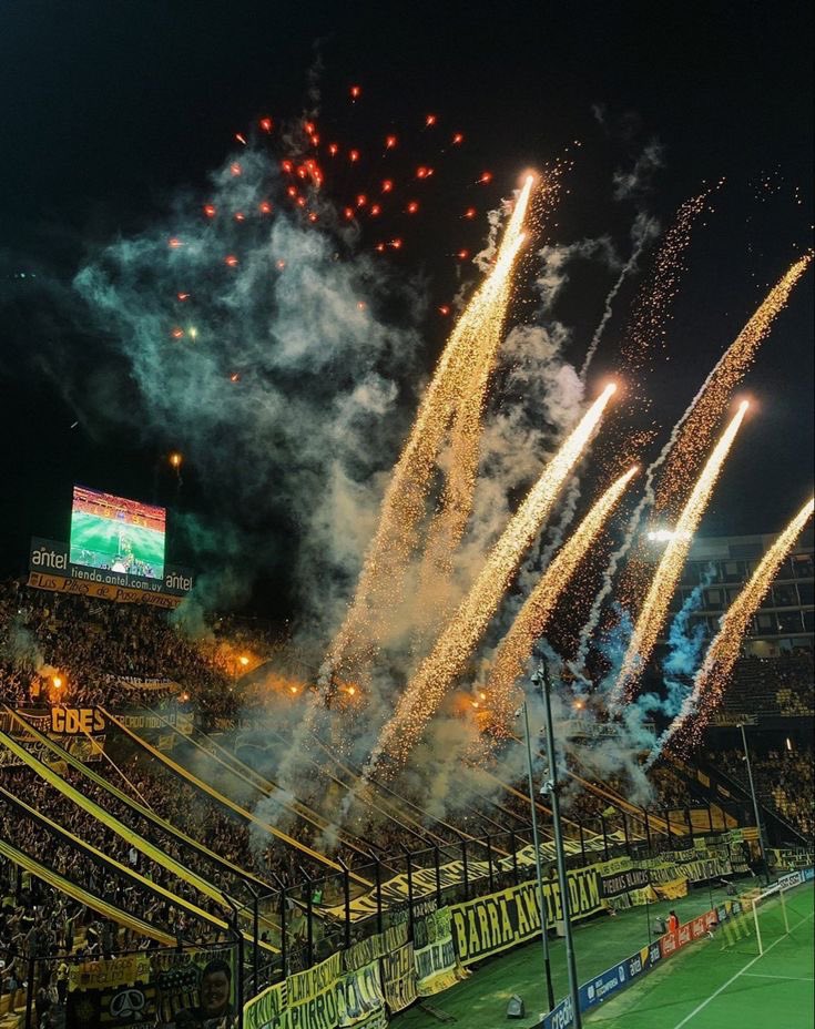 y que sepan que NUNCA te quise por los resultados.