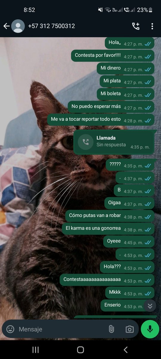 Vanessa la buena tweet media