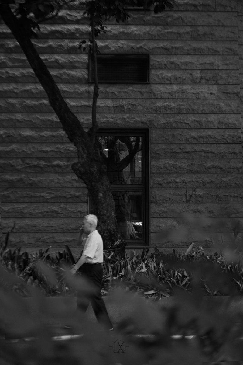 IX_Zheng9's tweet photo. Strolling
#photograph #photography #streetphoto #摄影 #写真 https://t.co/fu16FEZBhu