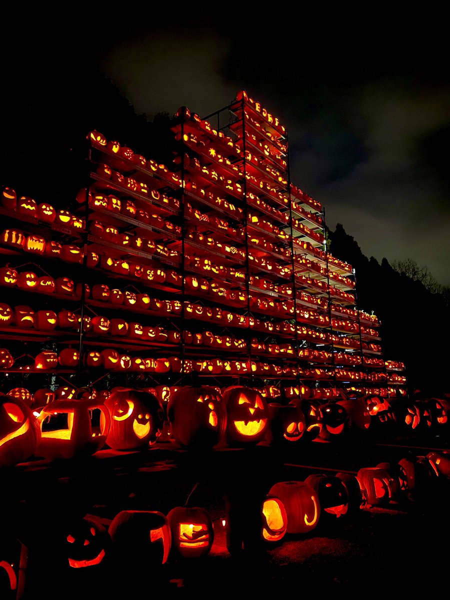 Grendle609's tweet photo. The Great Pumpkin Wall 🎃🎃🎃 https://t.co/UEGQQP9GuK