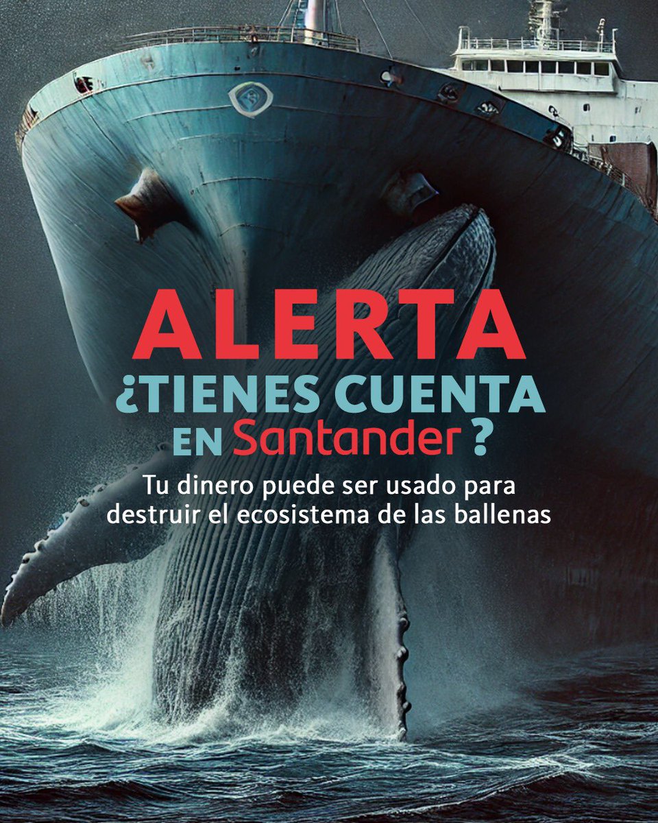 CClimaticas's tweet photo. ⚠️‼️Santander está ayudando a financiar, junto con MUFG y JP Morgan, el proyecto Saguaro. Actualmente, éstas tres son las principales asesoras financieras de Mexico Pacific.

Comenta en las redes de @SantanderMx y avisa que si financian el megaproyecto darás de baja tu cuenta. https://t.co/N58muzE9or
