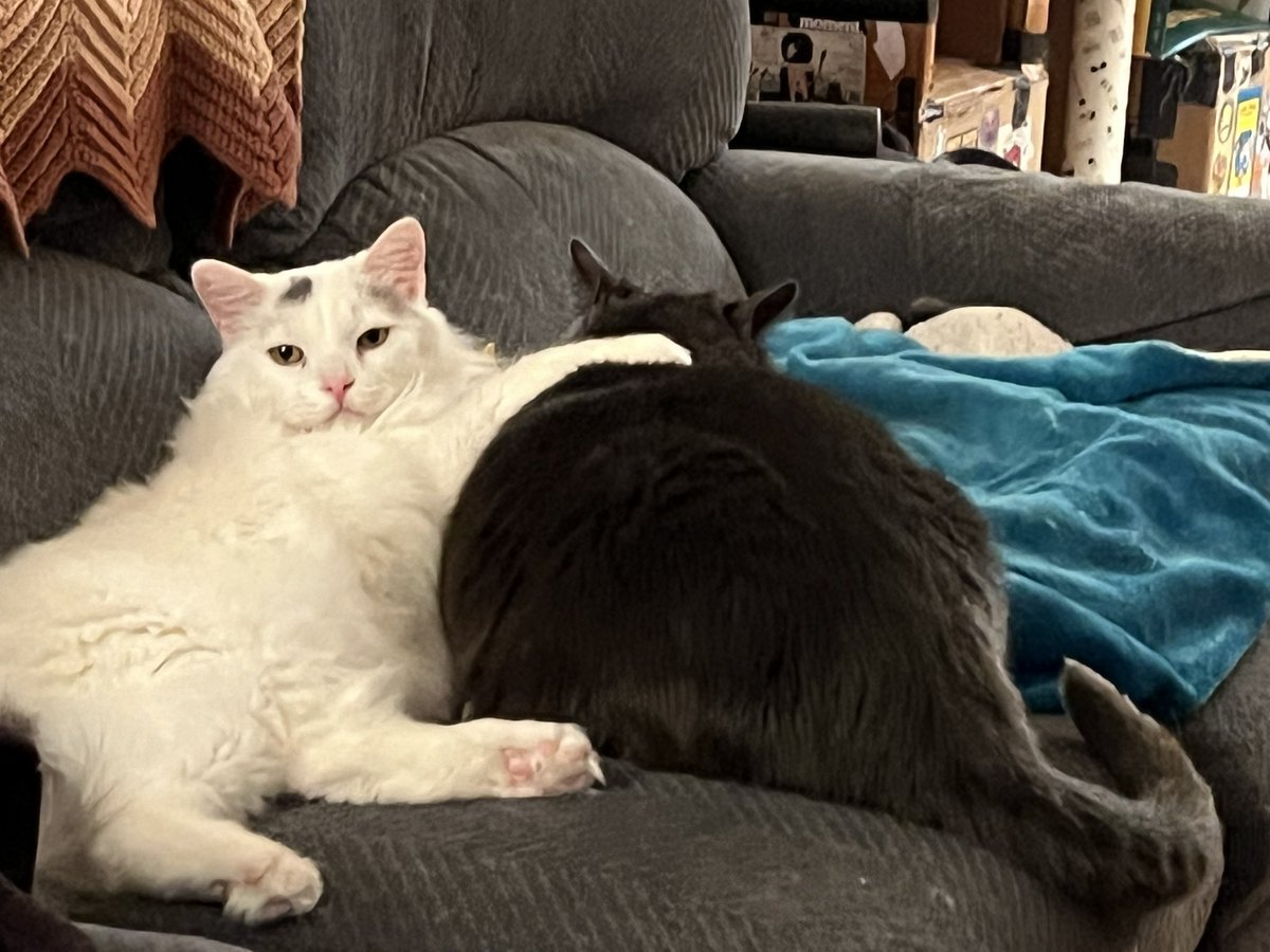Floof like, dis mine.