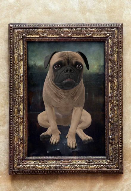 mudpugsolana's tweet photo. @daumeneth #mudpug #Solana #memecoin 
@mudpugsolana https://t.co/ULGvTQxGEd