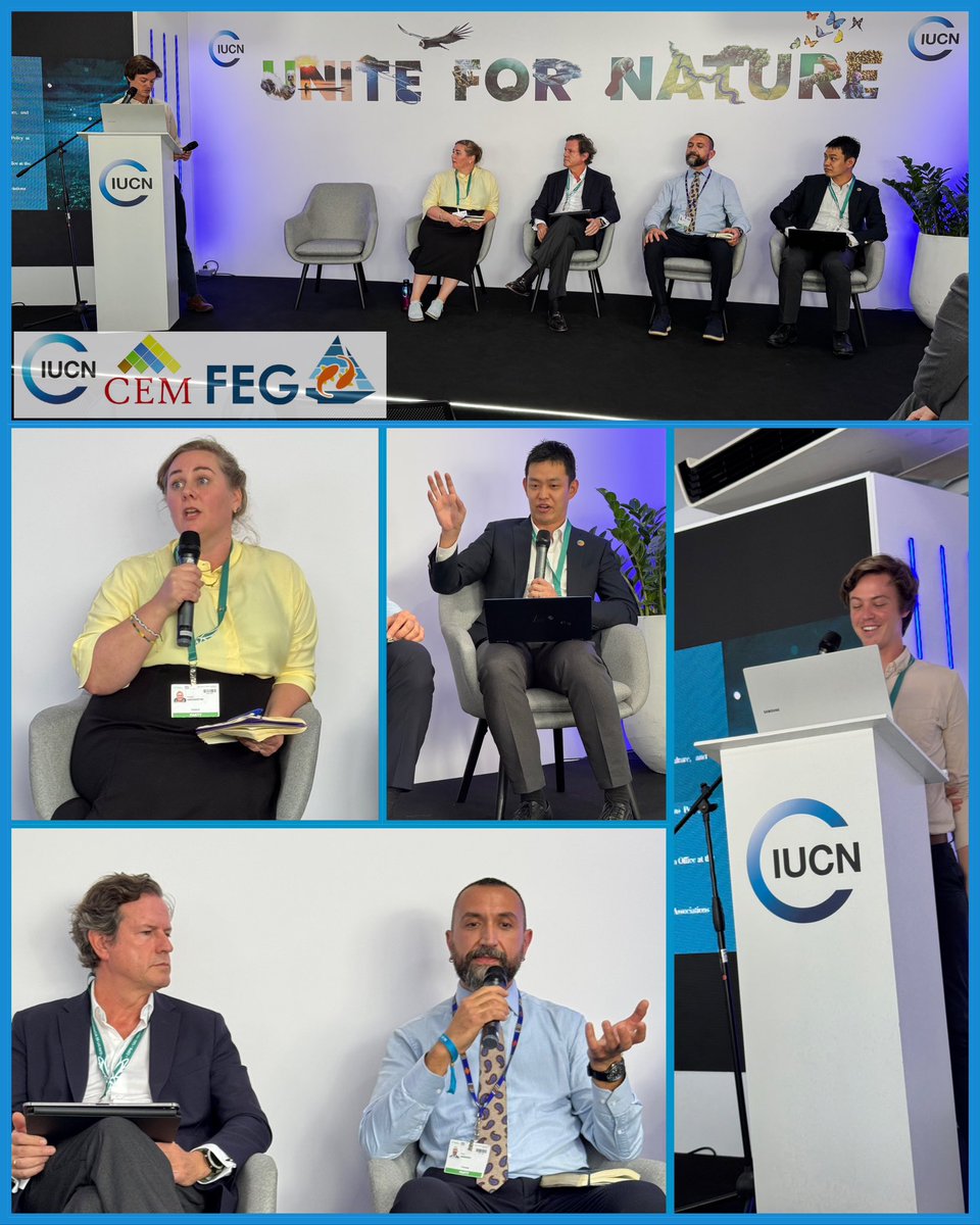 Mark Dickey-Collas 🏳️‍🌈 tweet media