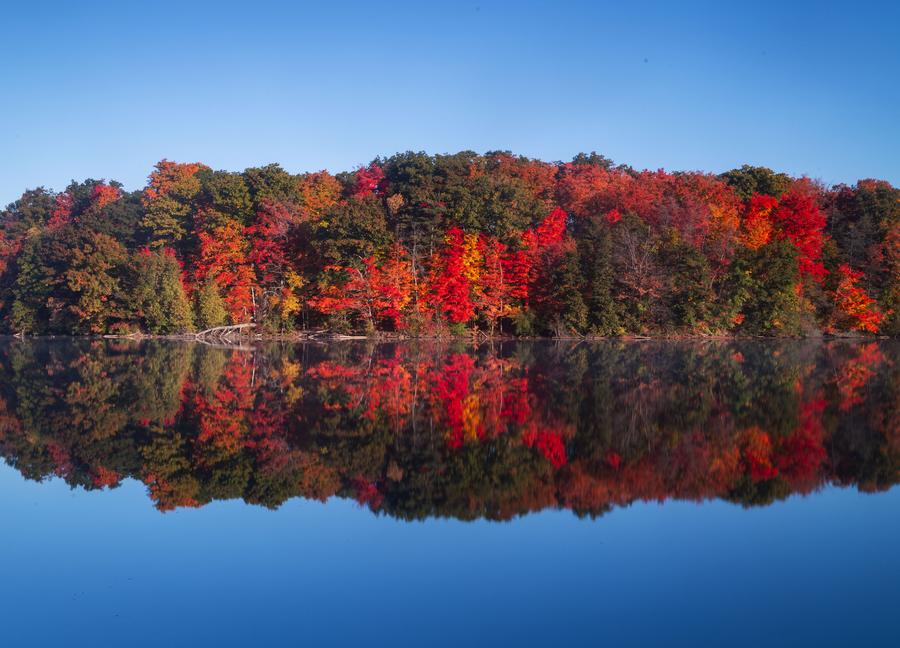 XHNews's tweet photo. Autumn foliage turns Bond Lake in Richmond Hill, Canada, into a gorgeous canvas. https://t.co/KybRifSovA