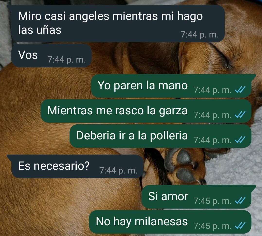 el benjias tweet media