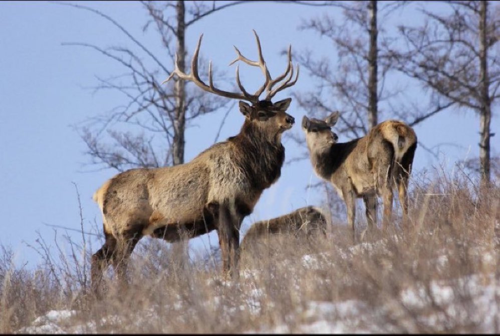 Өнөө ӨДРИЙН МЭНД ЭЭ