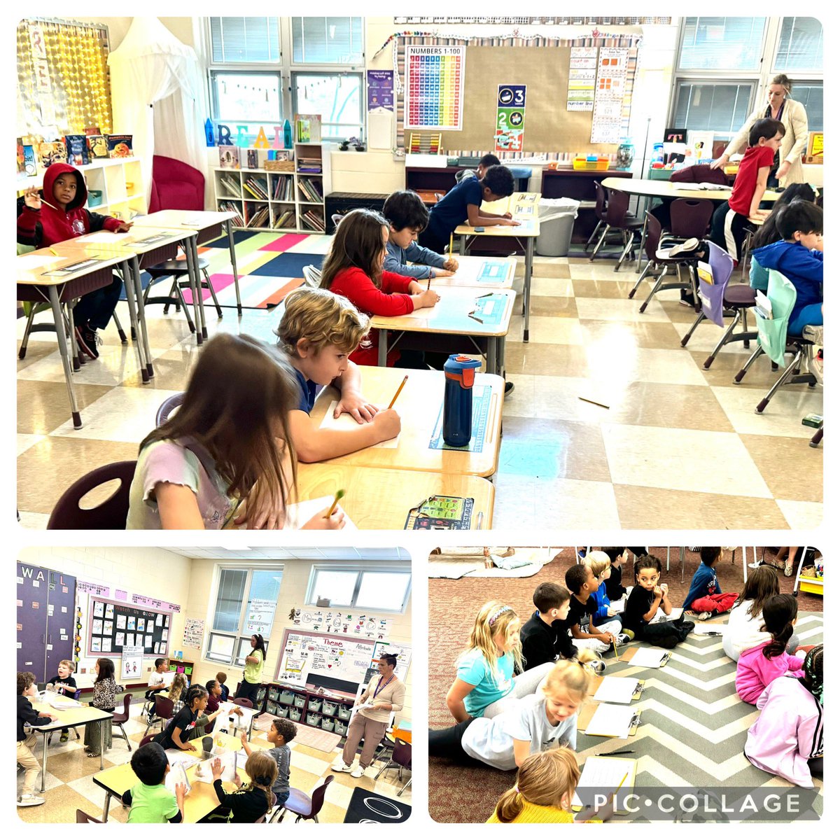 Caryn Gross tweet media