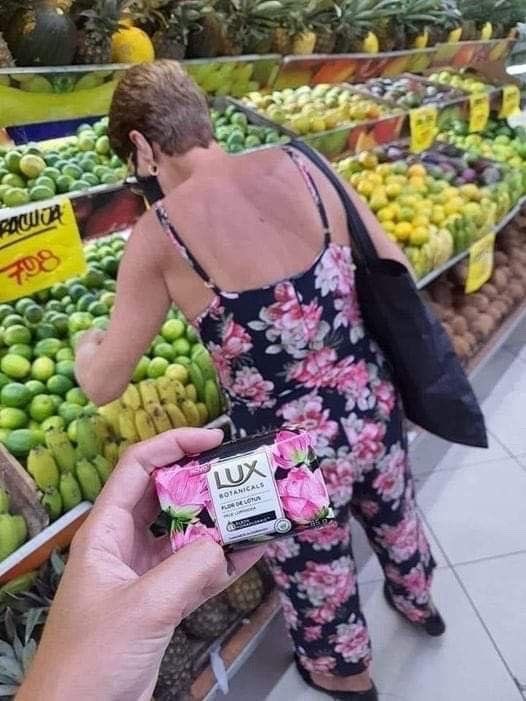 acervo geral tweet media