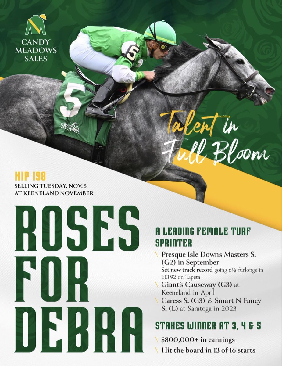 ROSES FOR DEBRA, a Leading Female Turf Sprinter, sells with Candy Meadows Sales at <a href="/keenelandsales/">Keeneland Sales</a> November on Tuesday, Nov. 5.

🌹 catalog.keeneland.com/november-breed…