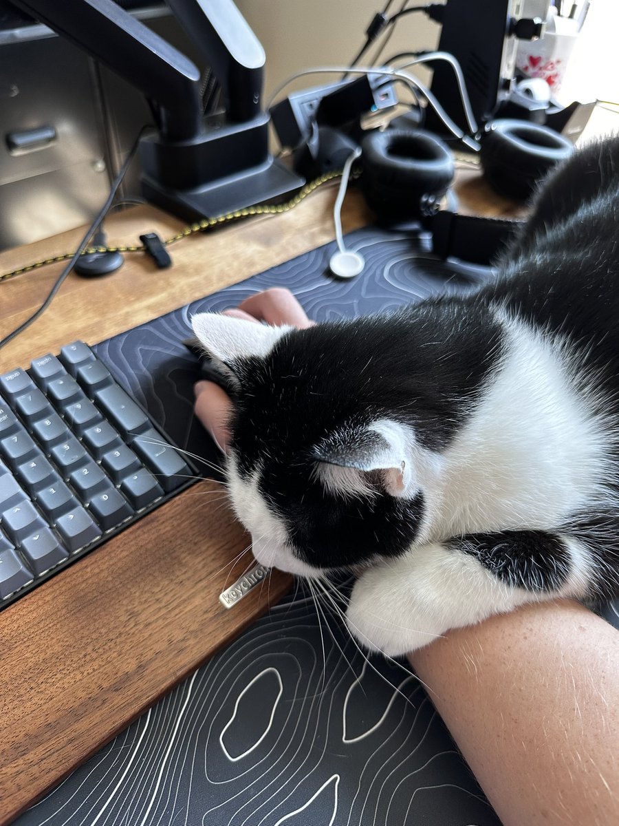 zackthomas_99's tweet photo. @HyperX Does not appreciate me working https://t.co/gBIngB2Jn7