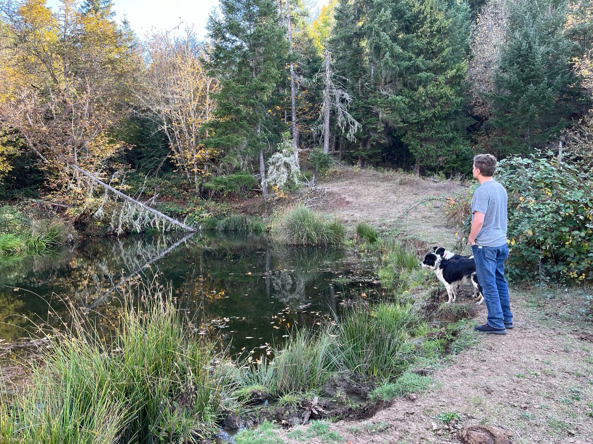 GM from the pond 🐟 🐢 🎣 s