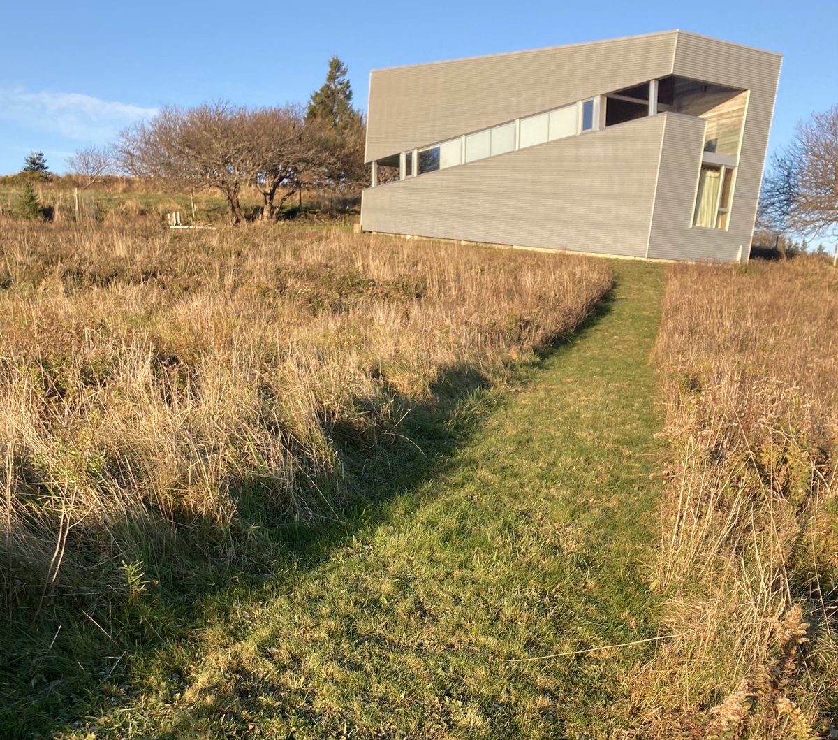 Stephen Archibald tweet media