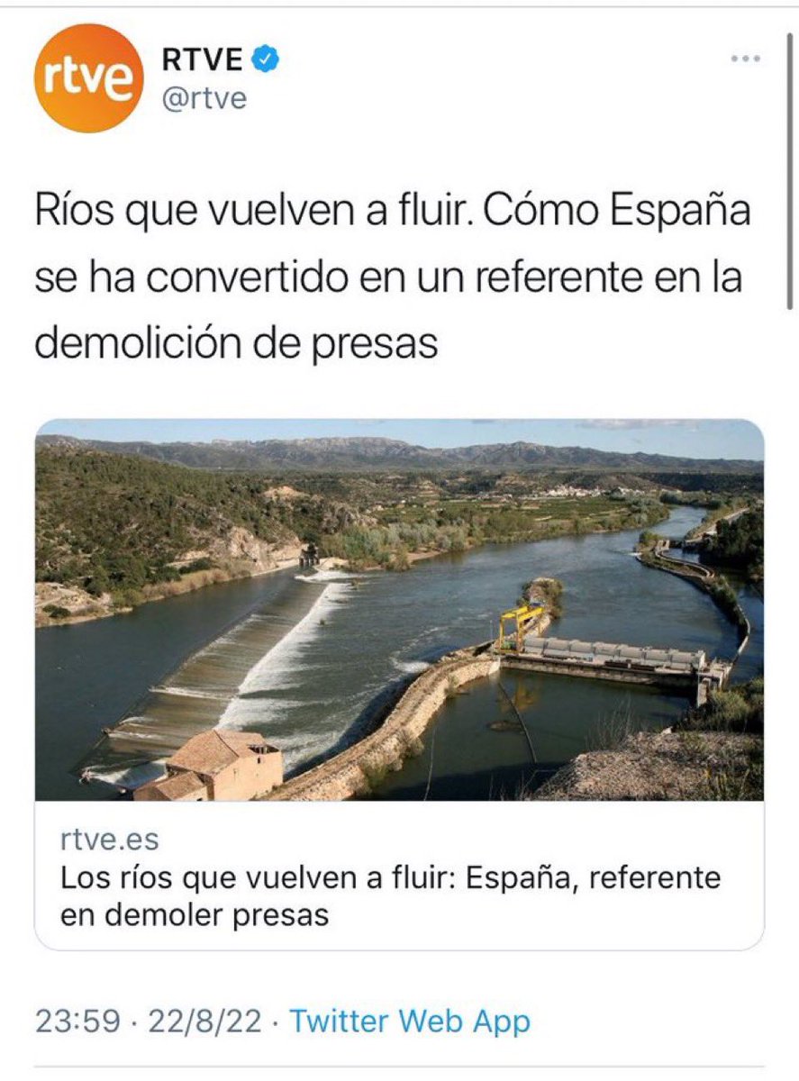 Padronso tweet media