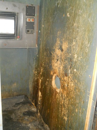 The Brotherhood of Schlong (NSFW!) 18+ tweet media