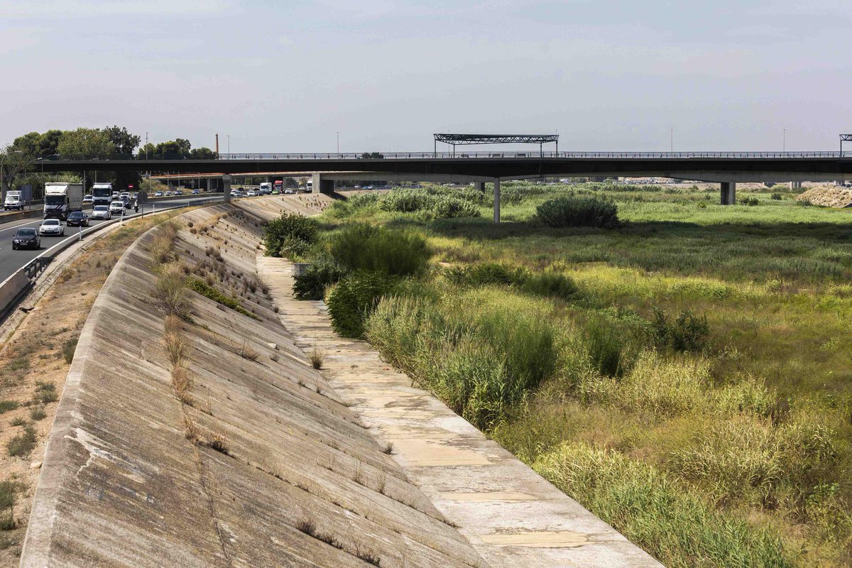 Para los que no seáis valencianos, es importante daros el contexto: no es que haya crecido un poco el agua del Río Turia, es que normalmente ha sido un cauce SECO. Tan seco que la vegetación campaba a sus anchas. Está foto creo es de 2023.