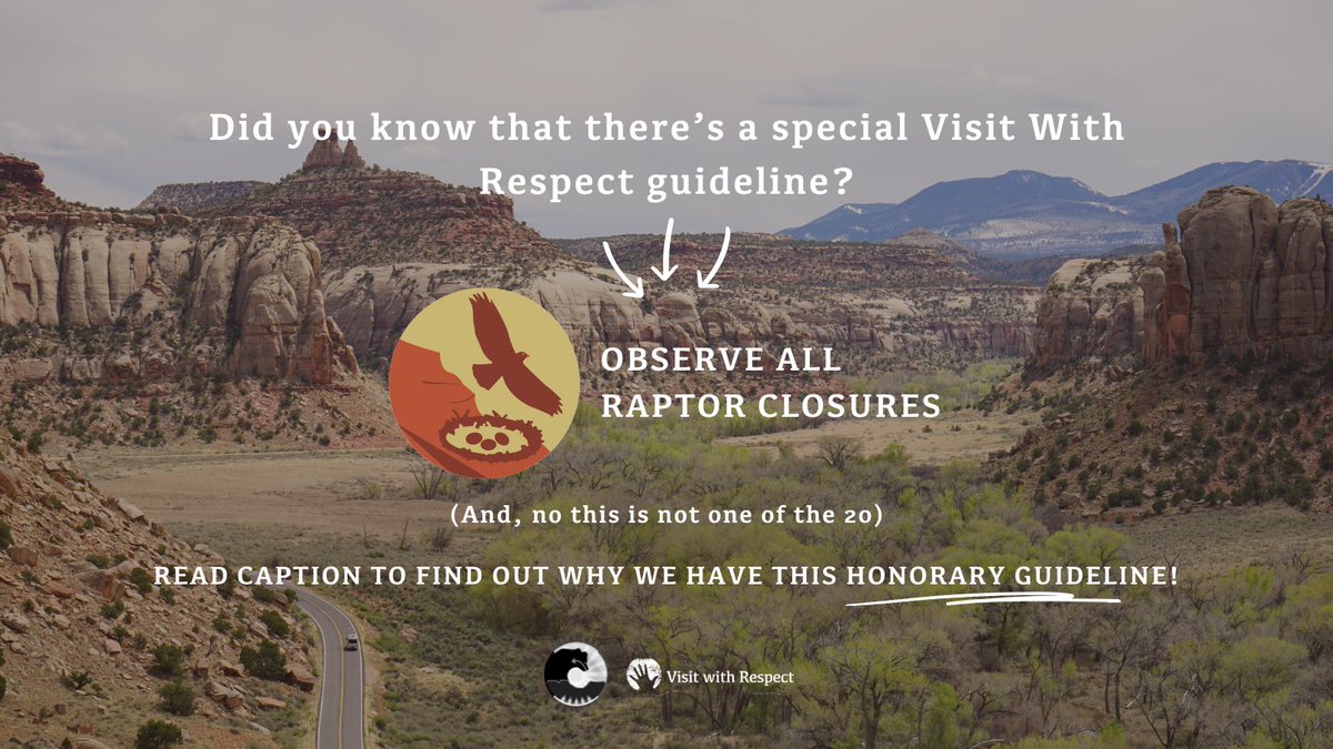 Bears Ears National Monument spans over 1.3 million acres, meaning there are countless opportunities for outdoor adventure! So there is one special tip exclusive to the Indian Creek area: Observe All Raptor Closures - which helps protect raptor nesting sites.

#VisitWithRespect