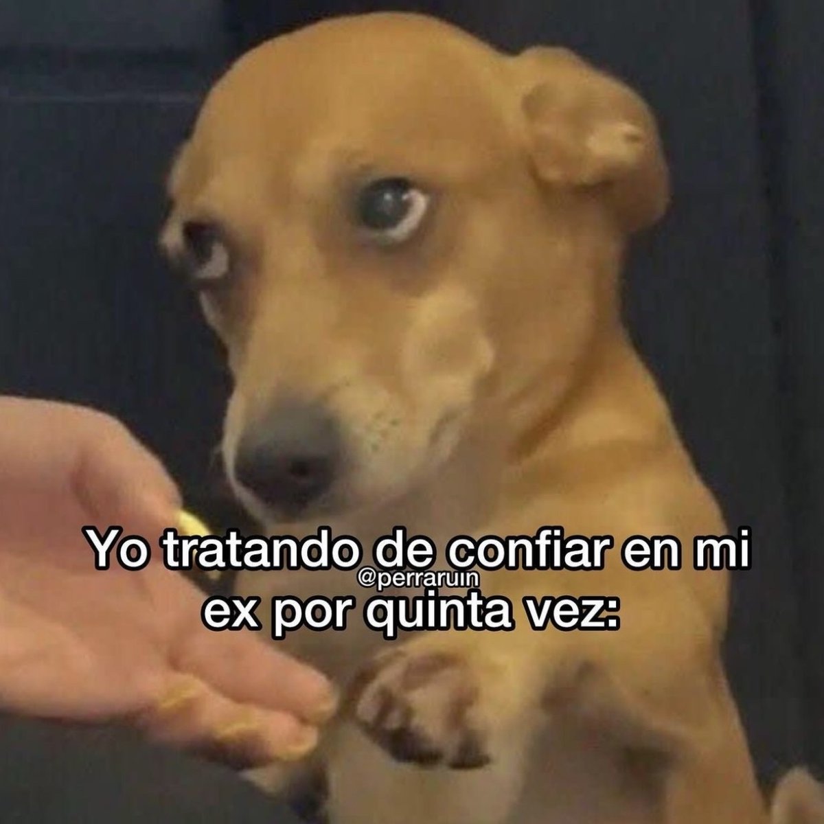 Aquí vamos de nuevo.