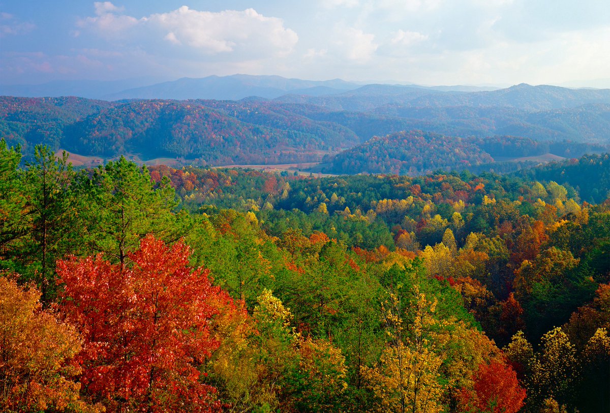 Smoky Mountain autumn checklist:
✓ Morning coffee on your private deck
✓ Afternoon hikes through golden forests
✓ Evening s'mores by the fire pit
✓ Cozy nights in our luxury cabins
Fall booking dates are filling fast! Book at BeckonHomes.com! 
#BeckonHomes
