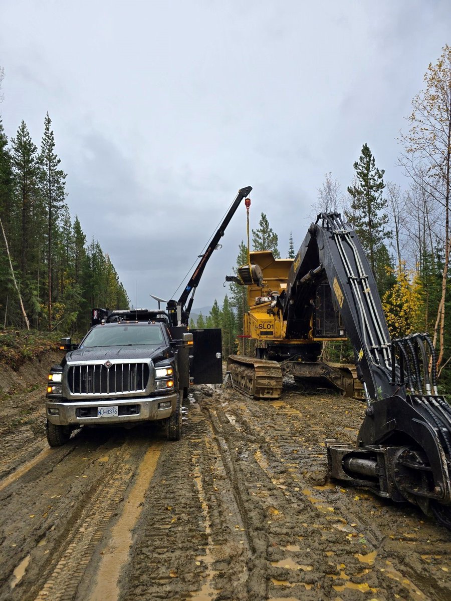 DawsonTrucks's tweet image. Out on the rugged logging roads, Kaeson Contracting is putting their new International CV Series truck to the test! Equipped with a custom Brutus service body, this #CVseries is working hard, servicing heavy-duty equipment in challenging terrain. #LoggingLife #BuiltForTheJob