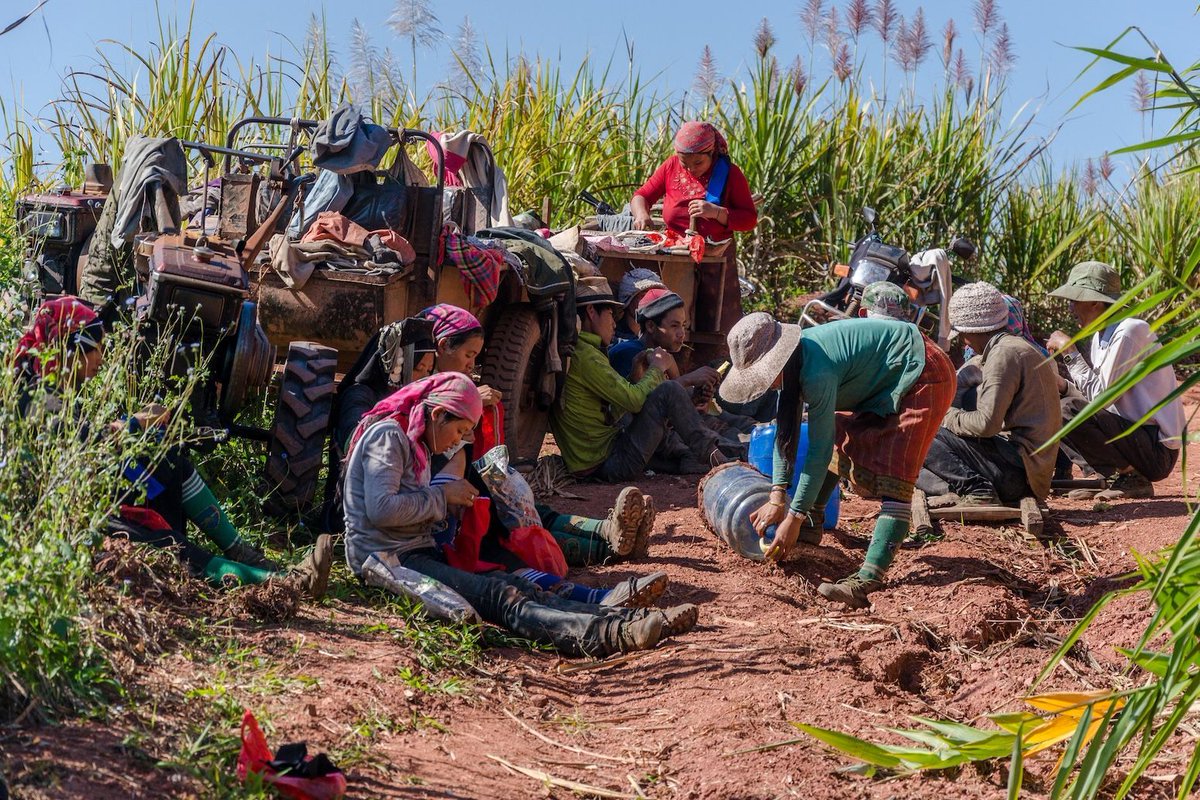 Carbon Brief (@carbonbrief) on Twitter photo NEW – More than half a trillion hours of work lost in 2023 due to ‘heat exposure’ | <a href="/AyeshaTandon/">Ayesha Tandon</a> w/ comment from <a href="/ollie_jay13/">Ollie Jay</a> <a href="/MarinaRomanello/">Marina Romanello</a> <a href="/JeremyFarrar/">Jeremy Farrar</a>
Read here: buff.ly/3Ccx03K NEW – More than half a trillion hours of work lost in 2023 due to ‘heat exposure’ | <a href="/AyeshaTandon/">Ayesha Tandon</a> w/ comment from <a href="/ollie_jay13/">Ollie Jay</a> <a href="/MarinaRomanello/">Marina Romanello</a> <a href="/JeremyFarrar/">Jeremy Farrar</a>
Read here: buff.ly/3Ccx03K