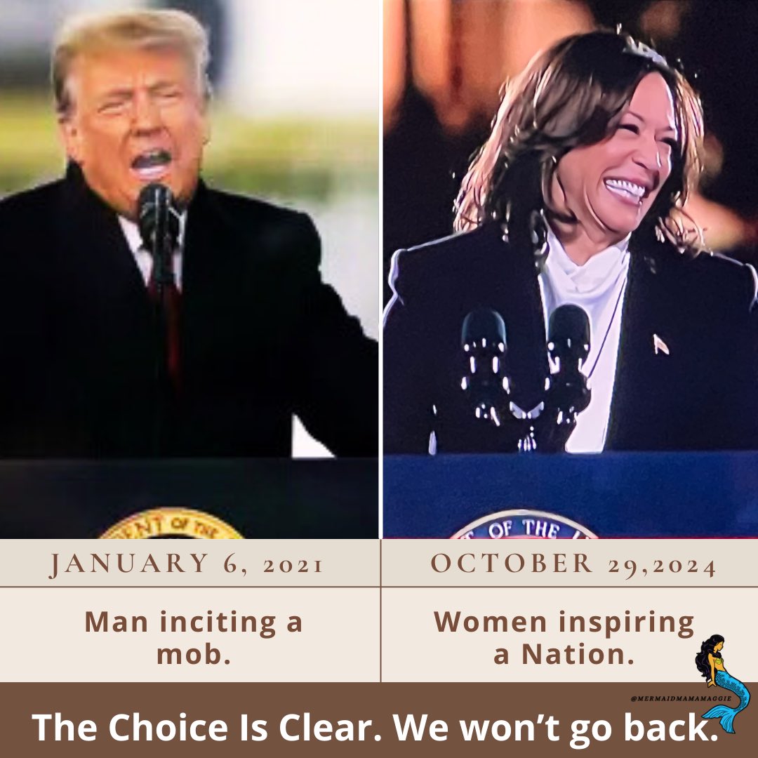 Maggie Reed (@mermaidmamamags) on Twitter photo #KamalaDefendsDemocracy #VoteBlue #KamalaDefendsDemocracy #VoteBlue