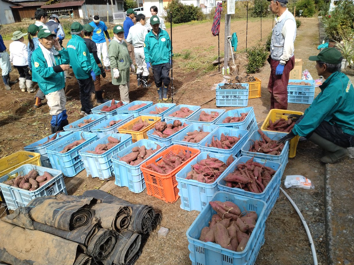 yamakita_town's tweet photo. テレビ神奈川「かながわ旬菜ナビ」で山北町が放送されます。やまきた野菜くらぶの活動や、とれたて山ちゃん、恭月さんが紹介されます。ぜひご覧ください！

●放送日　令和６年11月３日（日）9:00～9:30
●再放送　令和６年11月４日（月）10:00～10:30
●HP　https://t.co/aAYgv6m1Qz https://t.co/lViVXXSNlV